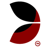 Link to https://www.evolutioncasino.app/