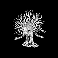 Link to http://www.forestdelic.com