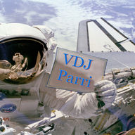Link to http://www.vdjparri.com